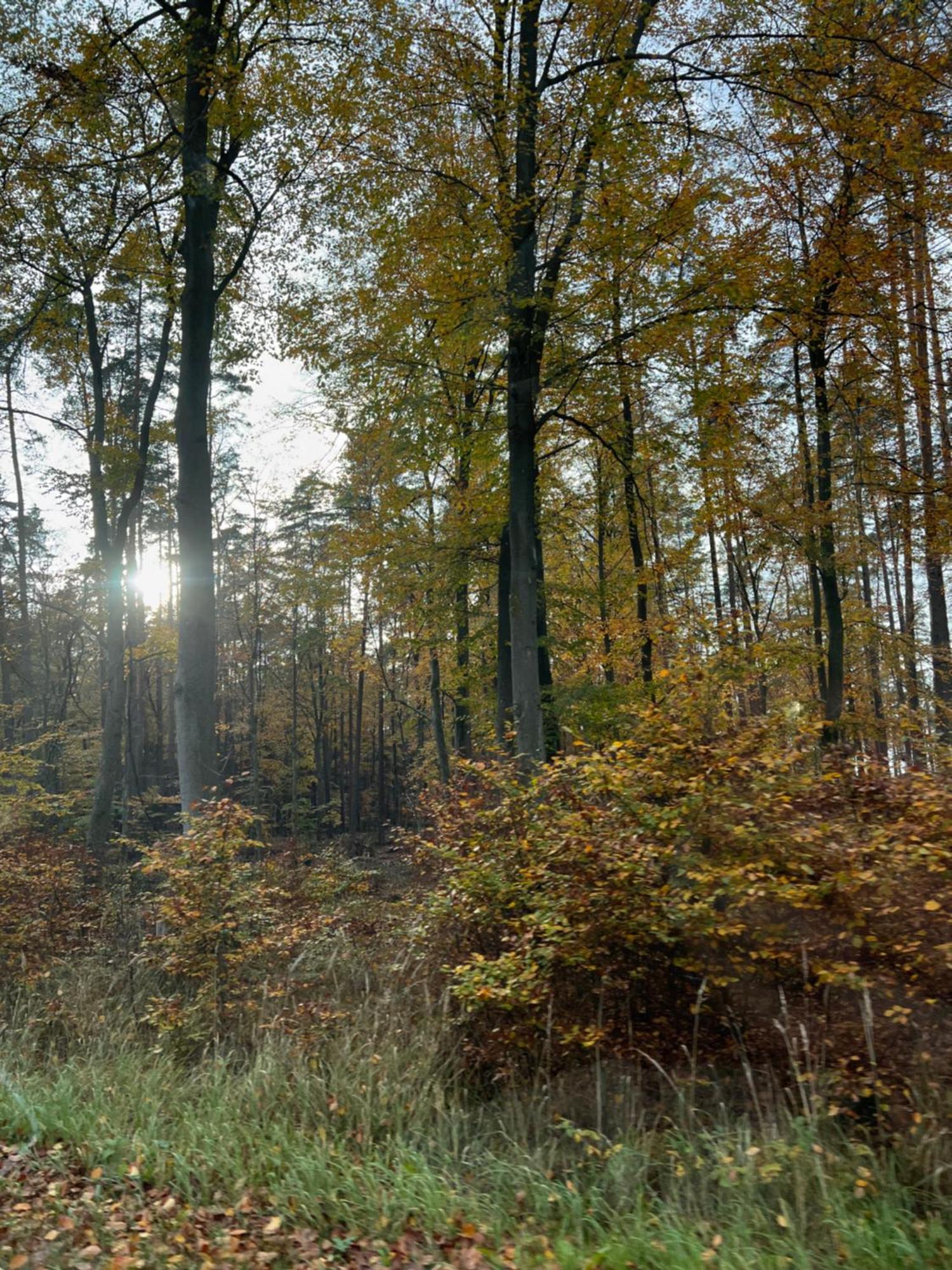 Frau Becker Villa Flecken Zechlin ภายนอก รูปภาพ