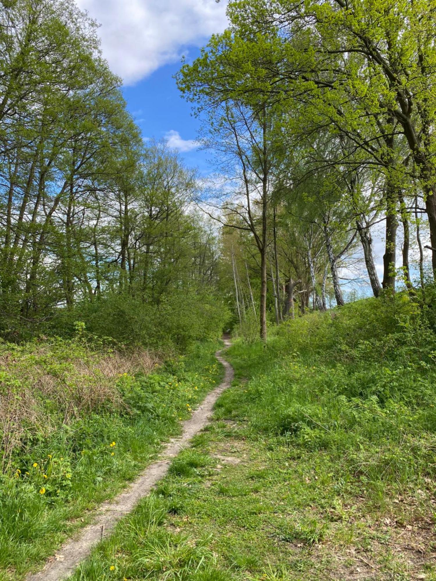 Frau Becker Villa Flecken Zechlin ภายนอก รูปภาพ